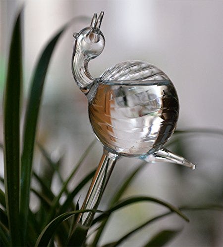 Hand Blown Clear Glass Self Watering 