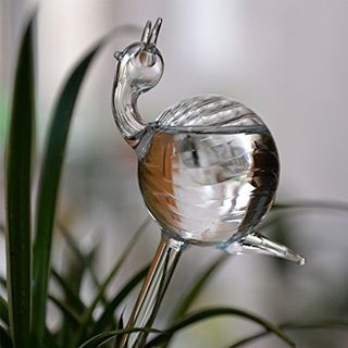 Hand Blown Clear Glass Self Watering 