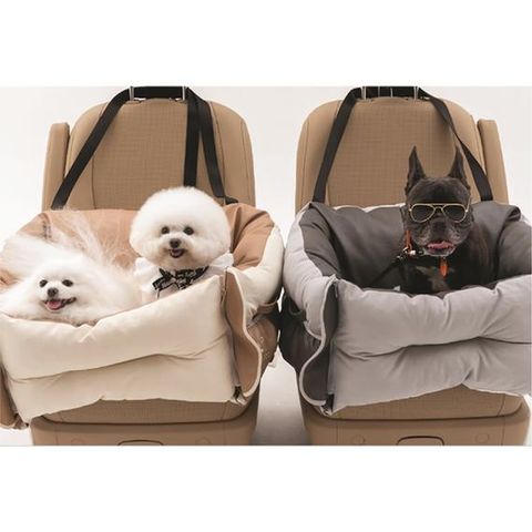 15 Best Dog Car Harnesses For 2021 Now - Best Car Seat For Tiny Dogs