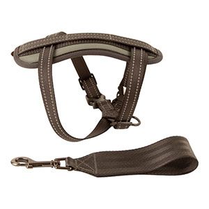 Pets at Home In-Car Safety Dog Harness