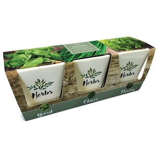 Ceramic windowsill herb gift set