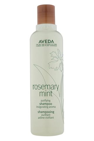 Shampoo Shampoo - Rosemary Mint Shampoo - 8.5 fl. 8.50 Ounce rosemary mint 8.5 Fl Oz
