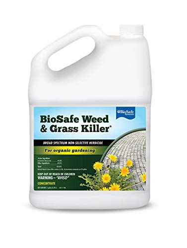 8 Best Weed Killers Of 2021