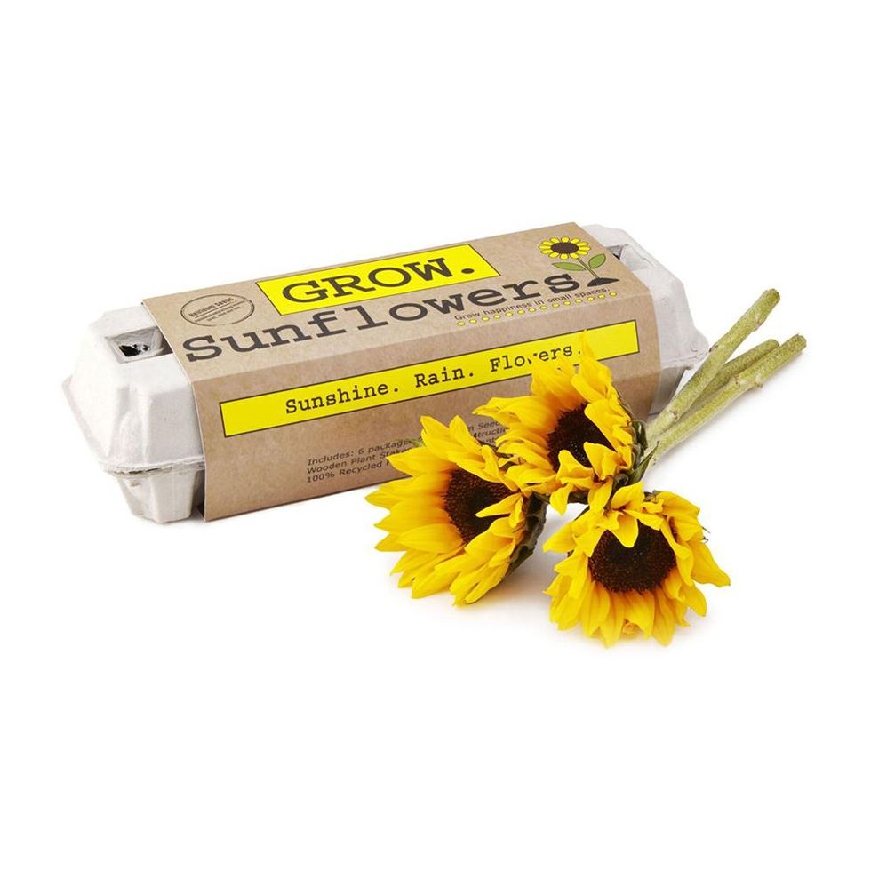 Sunflower Garden Kit