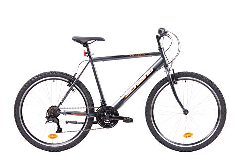 F.lli Schiano Ghost Bicicleta Montaña