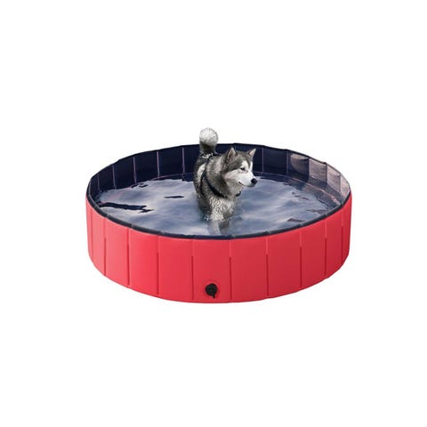 best kiddie pool for dogs