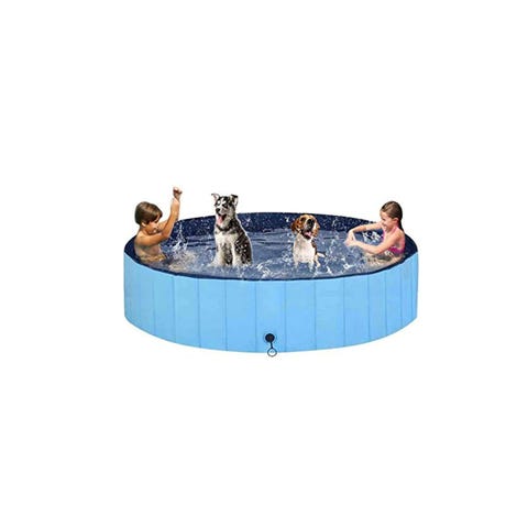 8 Best Dog Pools - Top Kiddie Pools for Pups 2021