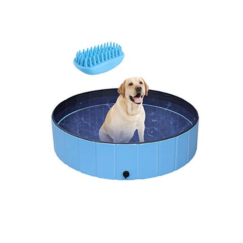 best kiddie pool for dogs