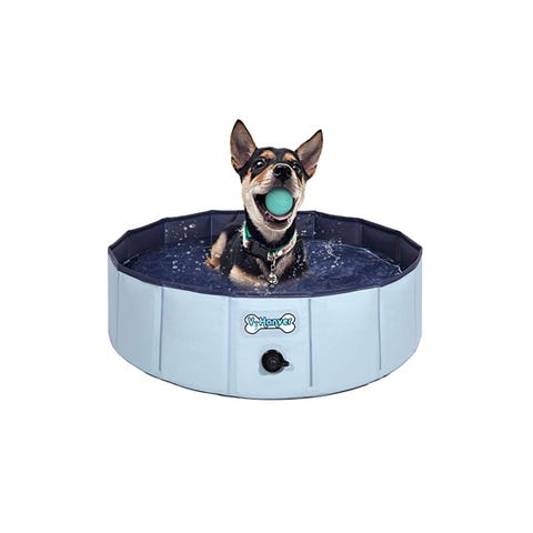 best kiddie pool for dogs