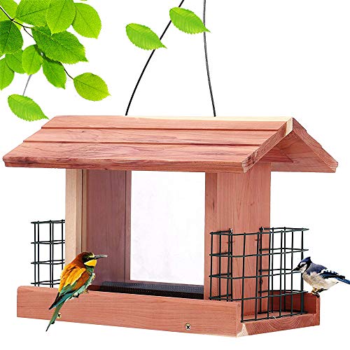 Droll Yankees - Pet Supplies & Wildlife - Outdoors - The Home Depot