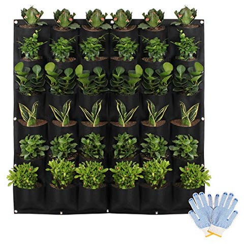 The 10 Best Vertical Gardens In 2021 The 10 Best Vertical Gardens In 2021, Outdoor Vertical Garden