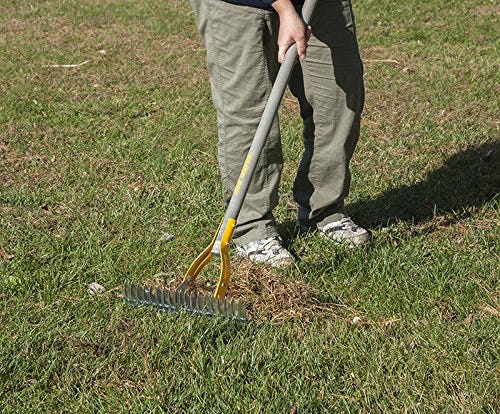 Lawn Care Guide: A 365-Day Timeline of Caring for Your Lawn