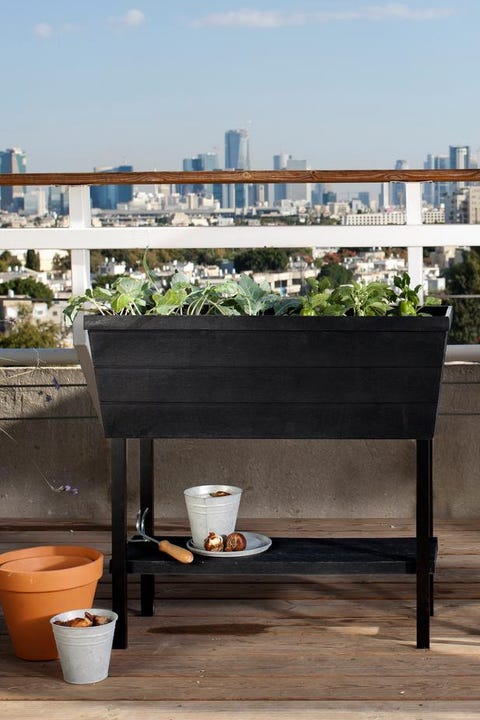 15 Best Raised Garden Bed Planters And Containers Top Outdoor 15 Best Raised Garden Bed Planters And, Keter Easy Grow Elevated Garden Bed Home Depot