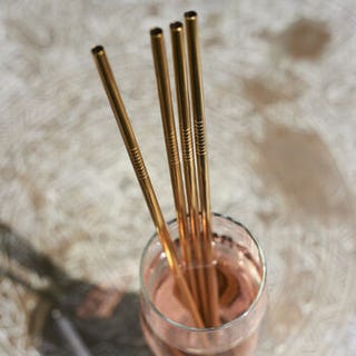 Eco Friendly Metal Straws