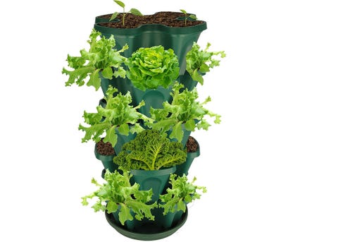 9 Best Vertical Gardens in 2022 - Vertical Garden Reviews