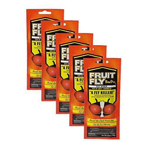 Best fruit fly sale killer