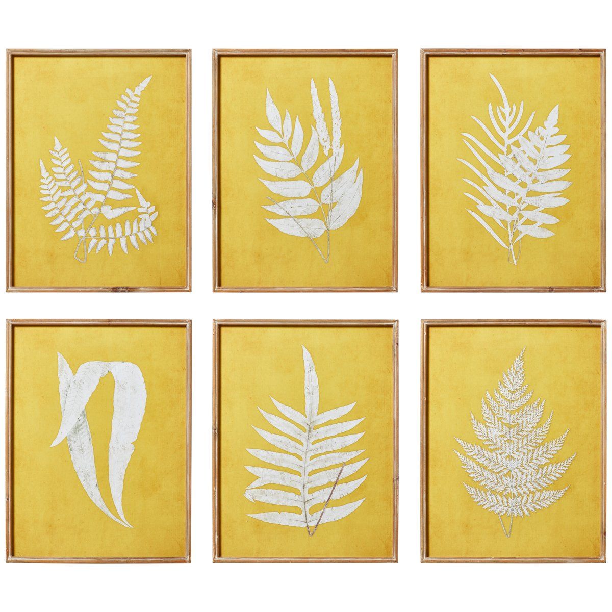 Set of Six Fern Framed Prints - Ochre