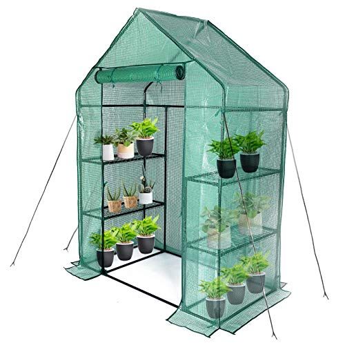 Mini Greenhouse Kit