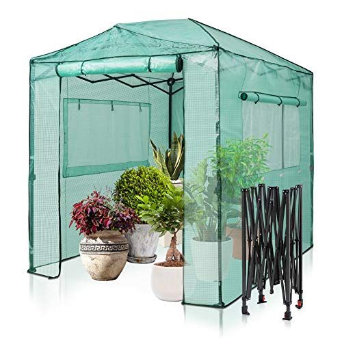 No-Shelf Greenhouse Kit