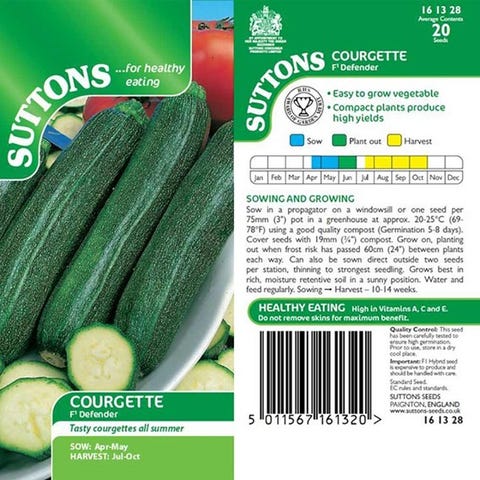 Courgettes How To Grow Care For And Harvest Courgettes How To Grow Care For And Harvest