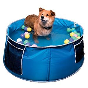 Cool Club Dog Paddling Pool Blue