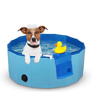 Foldable Pet Paddling Pool