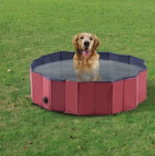 Pet Swimming Foldable Indoor/Outdoor Grooming Tub