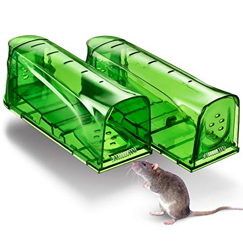 Humane Mouse Traps