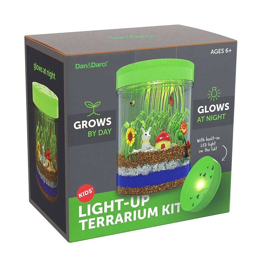 Light-Up Terrarium Kit 