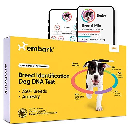 Dog DNA Test