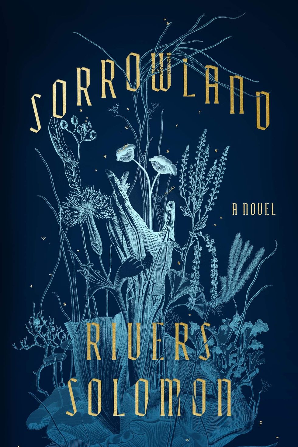 <i>Sorrowland</i> by Rivers Solomon