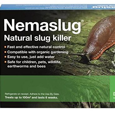 Slug Nematodes (large pack), Amazon, £28.55