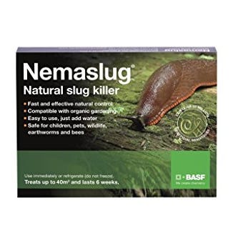 Slug Nematodes (small pack), Amazon, £15.47