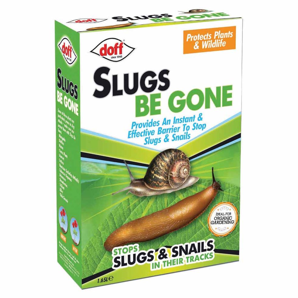 Slugs Be Gone Granules, Wilko, £3