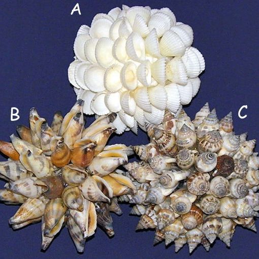 Seashell Shell Balls, 3" 