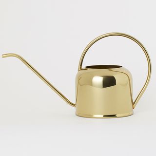 Iron watering can