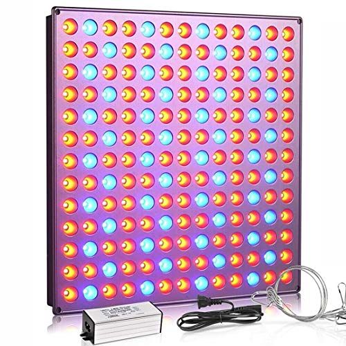 20 Best Plant Grow Lights 2023 Shop for Your Indoor Plants