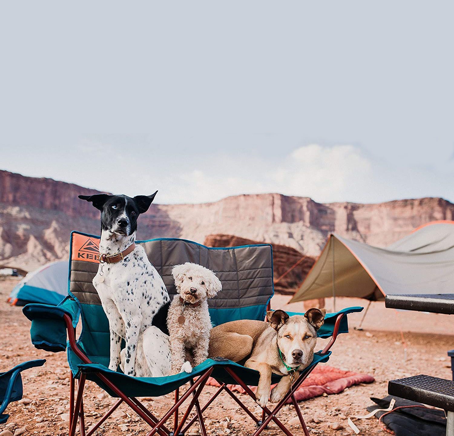 12 Best Camping Chairs in 2022 Comfortable Camping Furniture