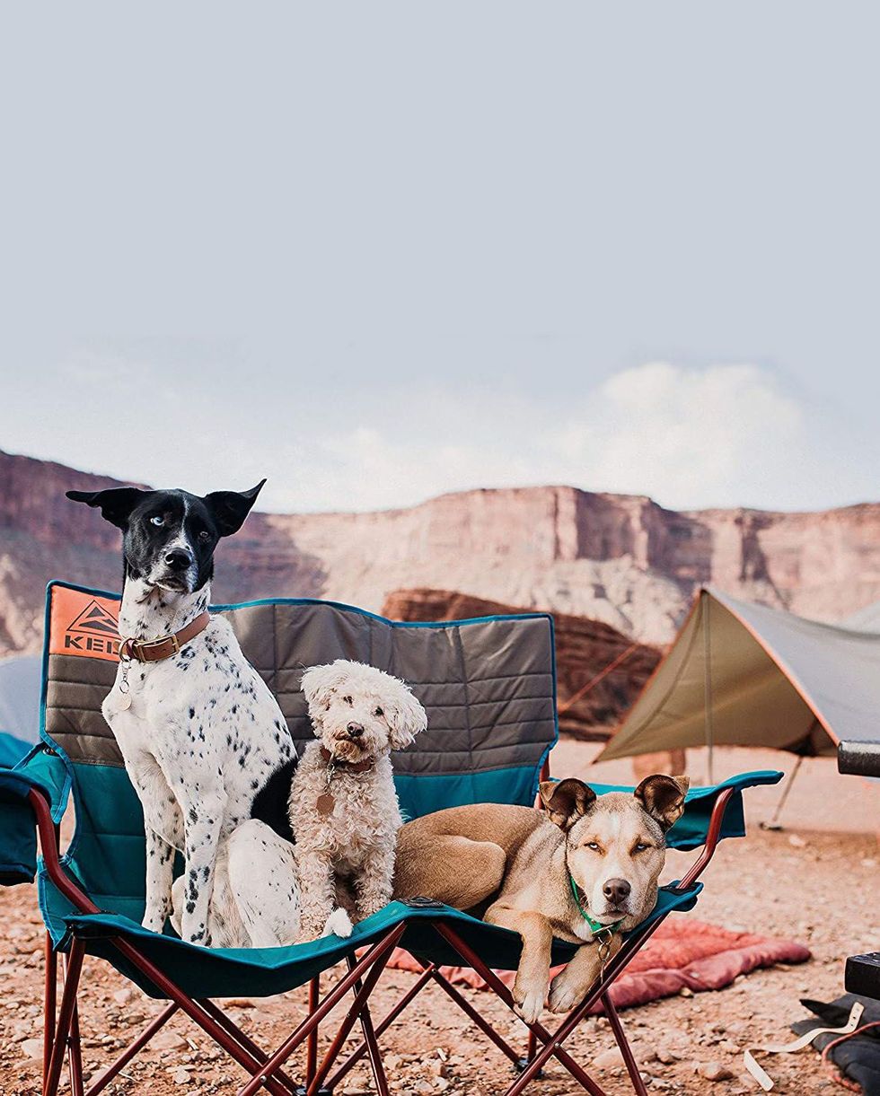 12 Best Camping Chairs in 2022 - Comfortable Camping Furniture