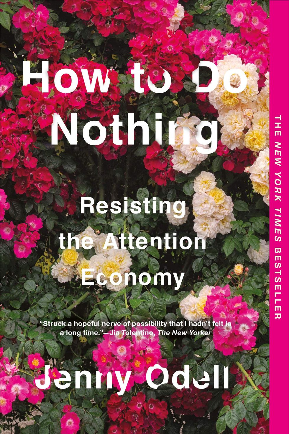 ‘How to Do Nothing: Resisting the Attention Economy’ by Jenny Odell