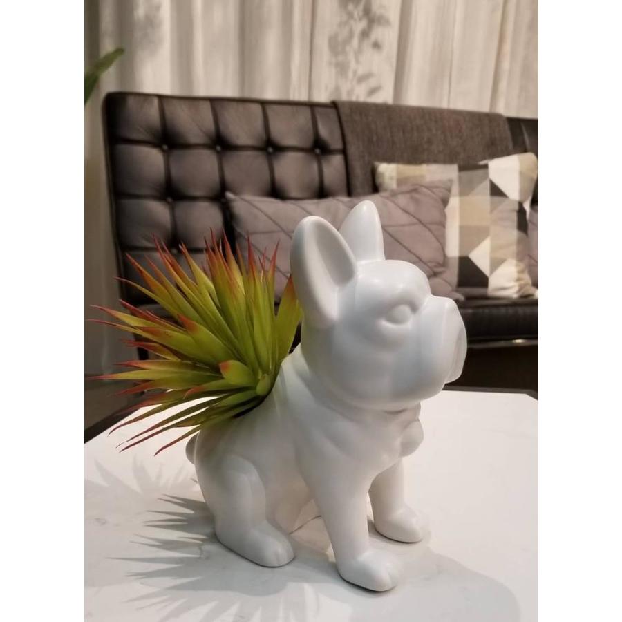 Artificial Succulent Planter