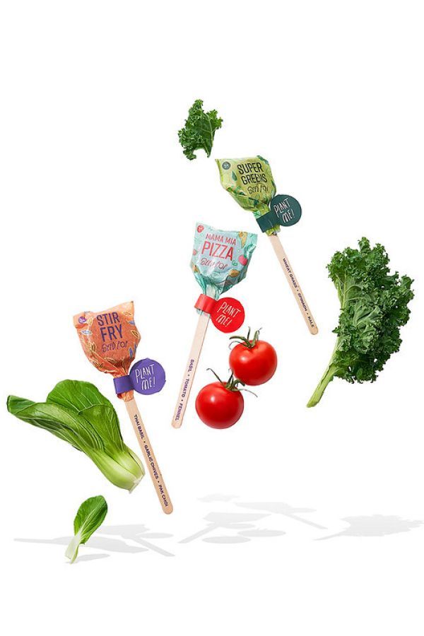 Grow-Your-Own Seed Lollipops, Set of 3
