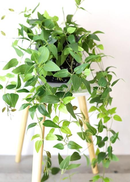 Artificial Plants Hanging Tradescantia Houseplant - 41" Long