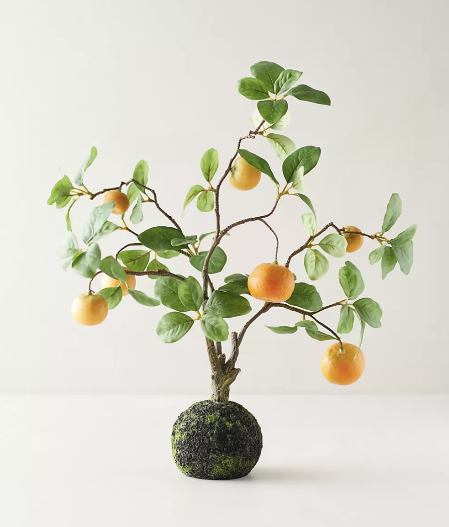 Faux Citrus Plant
