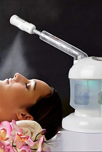 Ozone Steamer with Extendable Arm