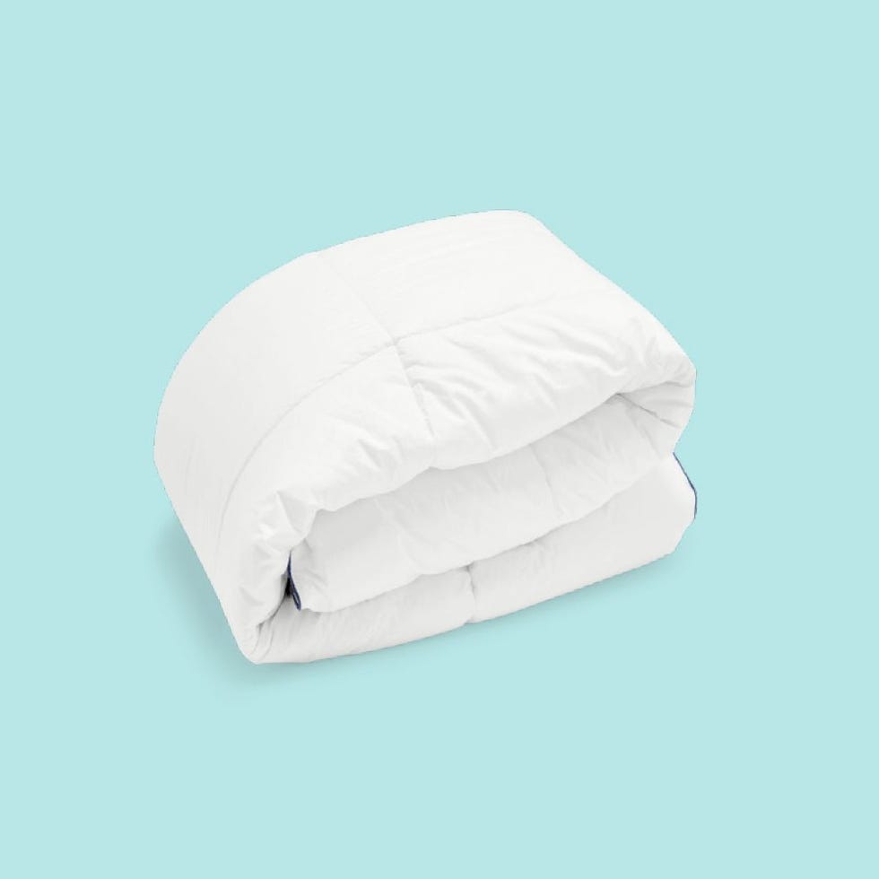 Riley Home Extra Warm Down Alternative Comforter