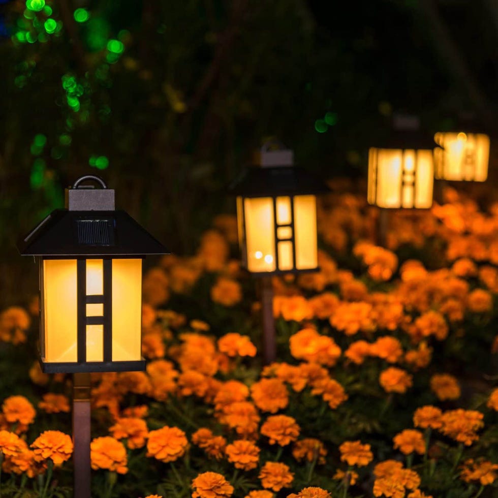 GIGALUMI Solar Powered Path Lights, Set of 2