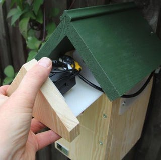 Nest box camera system