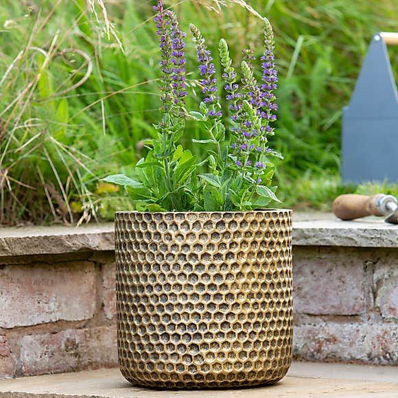 Gold Honeycomb Plant Pot