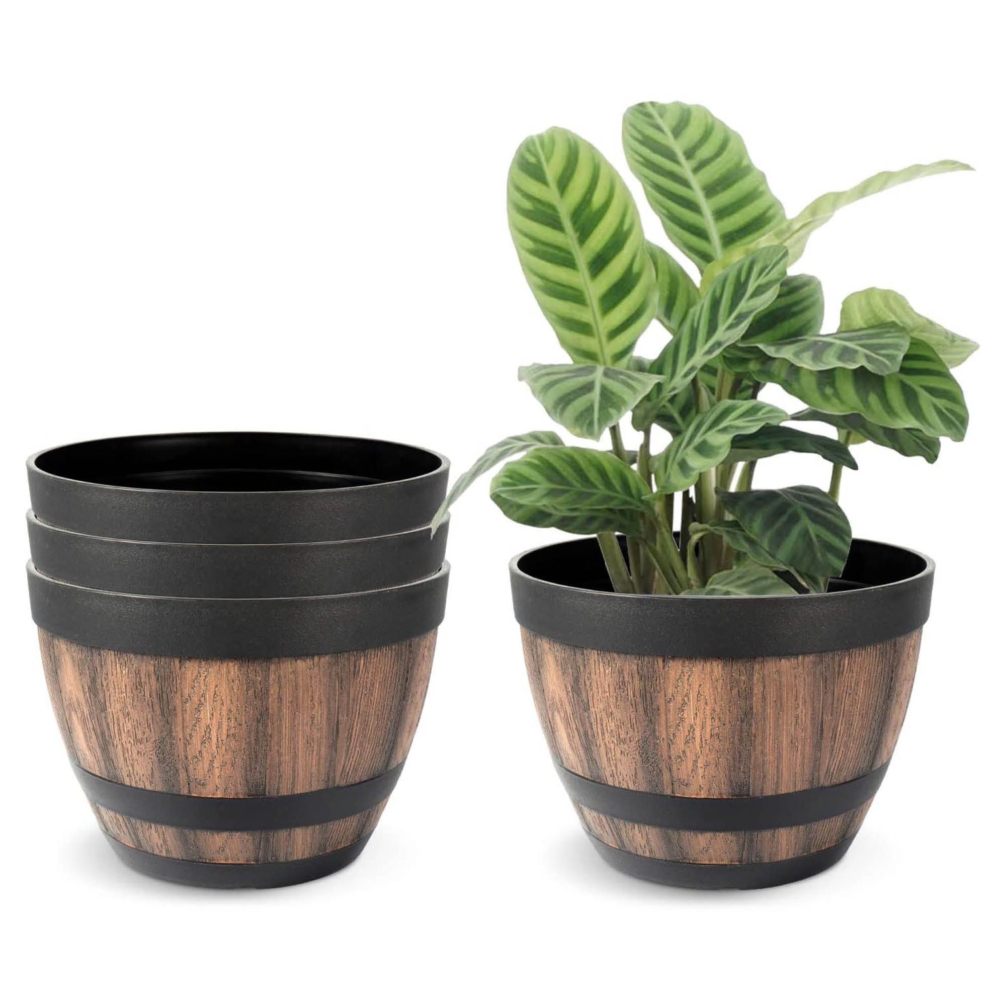 Plant Barrel Planter Containers 